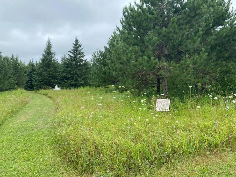 Centrally Located - Historic Blaney Park- Michigan Germfask Buitenkant foto